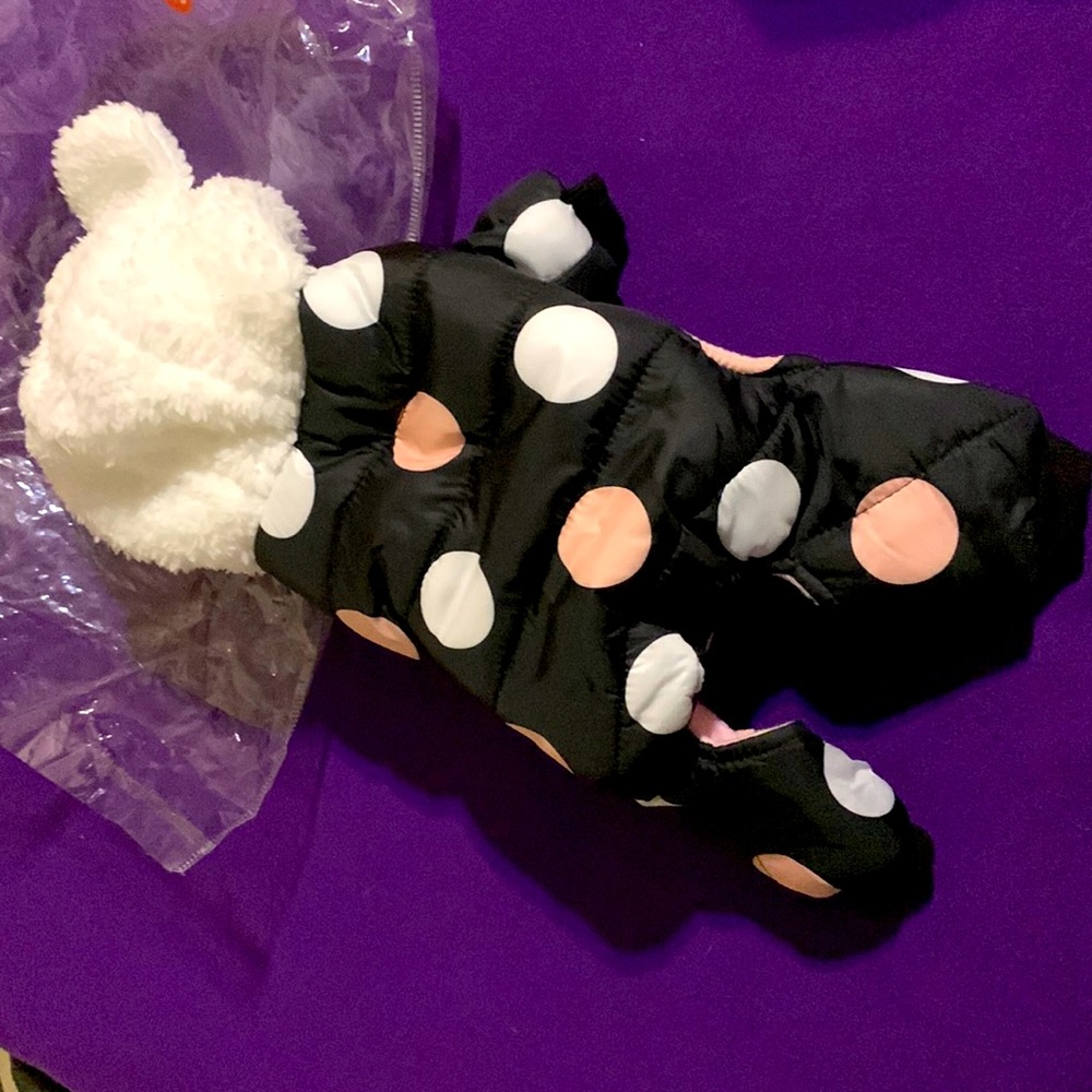 Chihuahua winter coat size small (fits my purebred full grown chi).